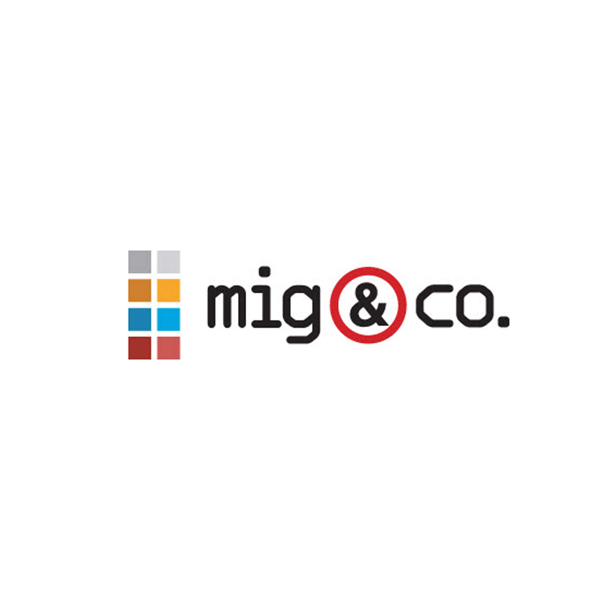 MIG & Co. Business Management Software Solutions Provider