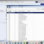 Microsoft Dynamics SL Enterprise Resource Planning How To Use Quick Query Efficiently