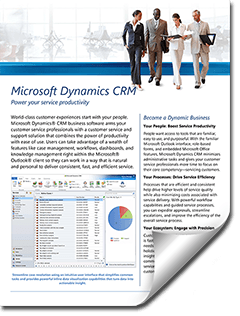 Microsoft Dynamics CRM Using Customer Service Correctly To Boost Productivity