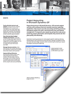 project accountant job description
