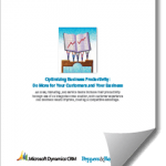 Microsoft Dynamics CRM How To Optimize Business Productivity And Do More For Your Customers